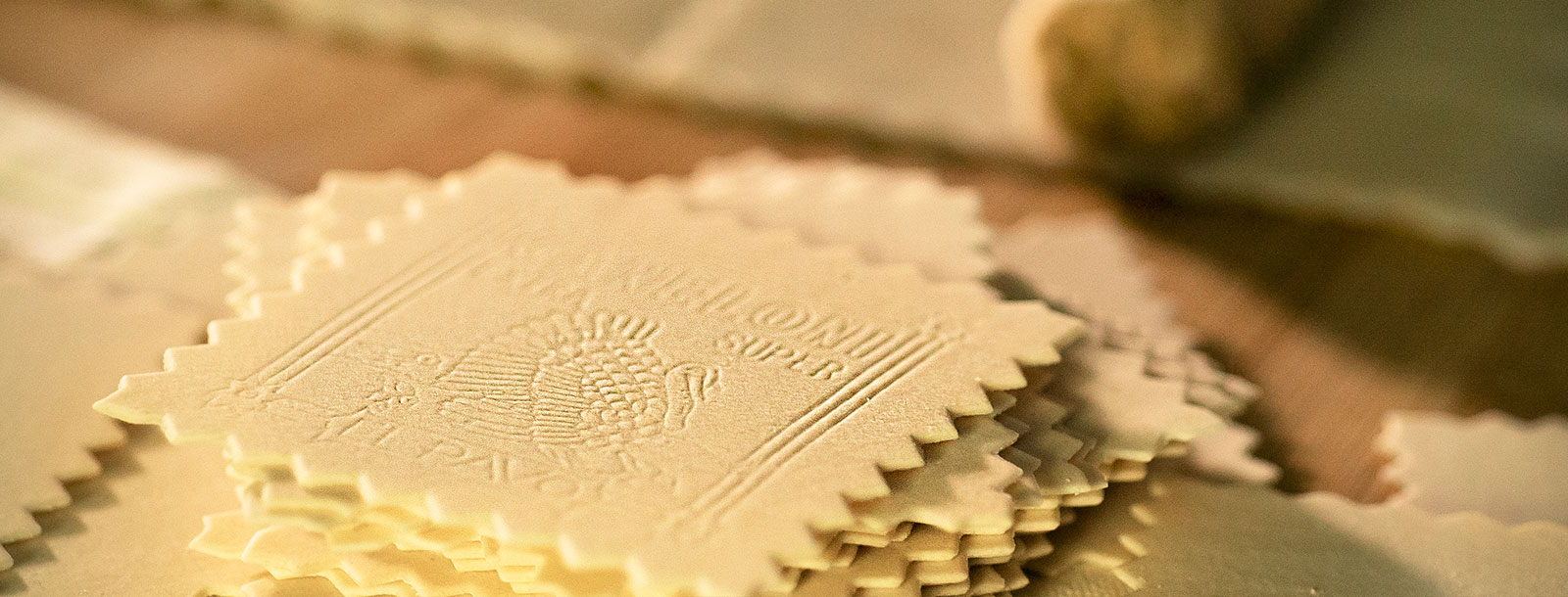 Imagen placas canelones